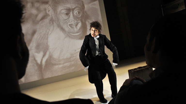 Kafka's Monkey